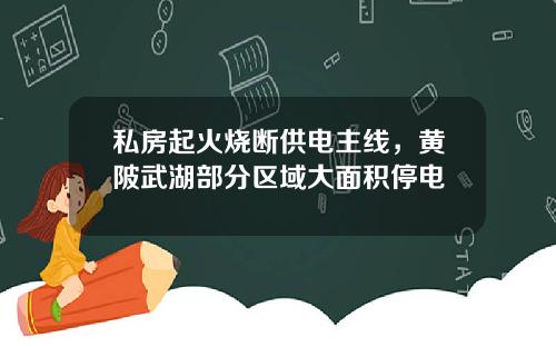 私房起火烧断供电主线，黄陂武湖部分区域大面积停电
