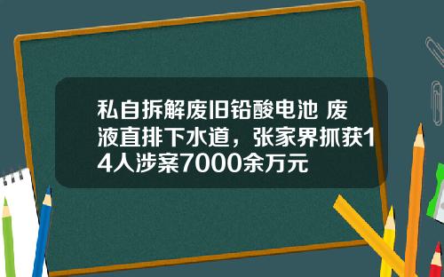 私自拆解废旧铅酸电池 废液直排下水道，张家界抓获14人涉案7000余万元