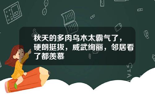 秋天的多肉乌木太霸气了，硬朗挺拔，威武绚丽，邻居看了都羡慕