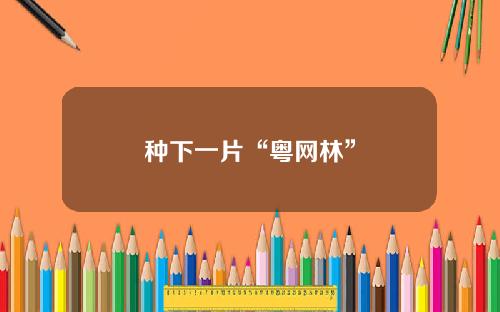 种下一片“粤网林”
