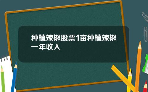 种植辣椒股票1亩种植辣椒一年收入
