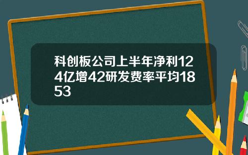 科创板公司上半年净利124亿增42研发费率平均1853