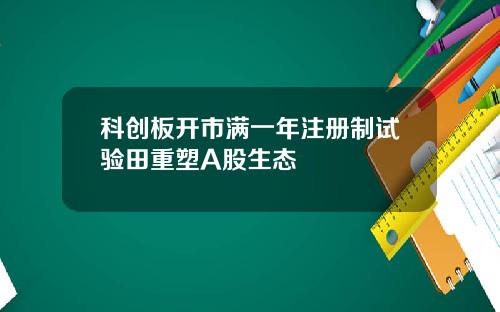 科创板开市满一年注册制试验田重塑A股生态