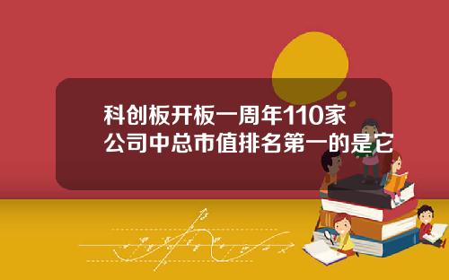 科创板开板一周年110家公司中总市值排名第一的是它