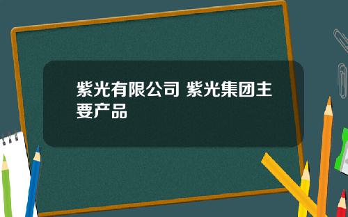 紫光有限公司 紫光集团主要产品