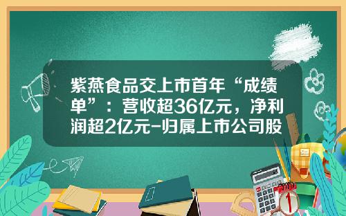 紫燕食品交上市首年“成绩单”：营收超36亿元，净利润超2亿元-归属上市公司股东的净资产增长