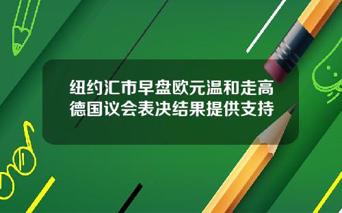 纽约汇市早盘欧元温和走高德国议会表决结果提供支持