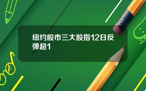 纽约股市三大股指12日反弹超1