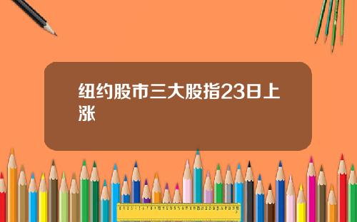 纽约股市三大股指23日上涨