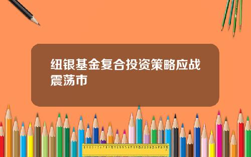 纽银基金复合投资策略应战震荡市