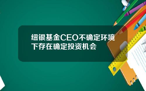 纽银基金CEO不确定环境下存在确定投资机会