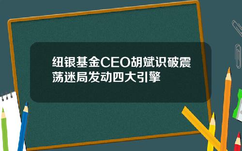 纽银基金CEO胡斌识破震荡迷局发动四大引擎