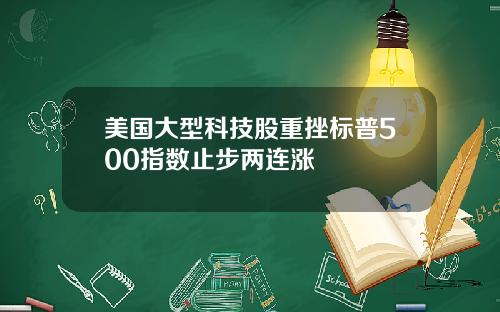 美国大型科技股重挫标普500指数止步两连涨
