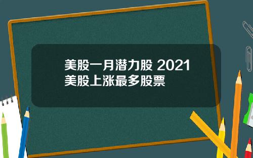 美股一月潜力股 2021美股上涨最多股票