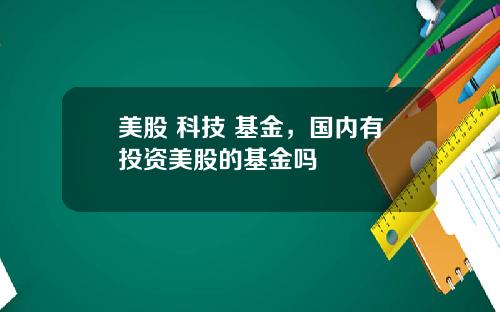 美股 科技 基金，国内有投资美股的基金吗