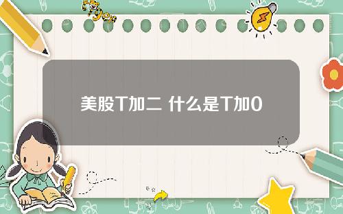 美股T加二 什么是T加0