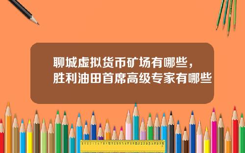 聊城虚拟货币矿场有哪些，胜利油田首席高级专家有哪些