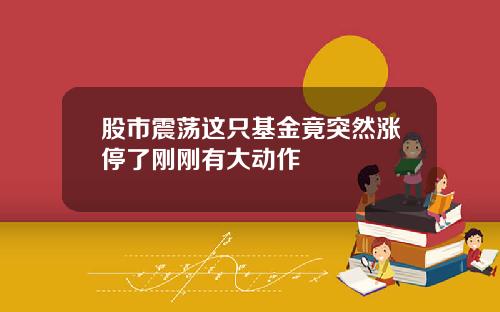 股市震荡这只基金竟突然涨停了刚刚有大动作