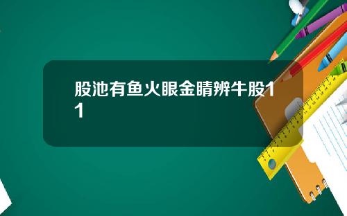 股池有鱼火眼金睛辨牛股11