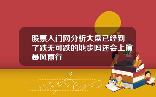 股票入门网分析大盘已经到了跌无可跌的地步吗还会上演暴风雨行