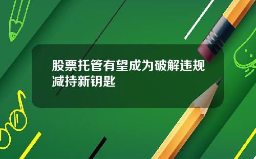 股票托管有望成为破解违规减持新钥匙