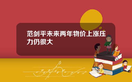 范剑平未来两年物价上涨压力仍很大