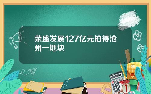 荣盛发展127亿元拍得沧州一地块
