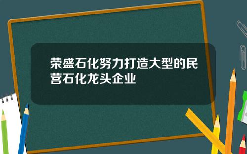 荣盛石化努力打造大型的民营石化龙头企业