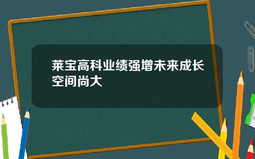 莱宝高科业绩强增未来成长空间尚大
