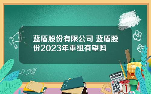 蓝盾股份有限公司 蓝盾股份2023年重组有望吗