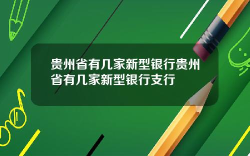 贵州省有几家新型银行贵州省有几家新型银行支行