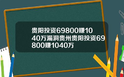 贵阳投资69800赚1040万漏洞贵州贵阳投资69800赚1040万