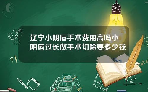 辽宁小阴唇手术费用高吗小阴唇过长做手术切除要多少钱