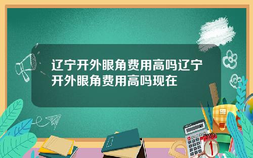 辽宁开外眼角费用高吗辽宁开外眼角费用高吗现在