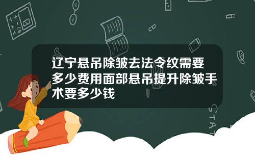 辽宁悬吊除皱去法令纹需要多少费用面部悬吊提升除皱手术要多少钱
