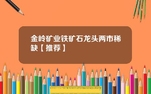 金岭矿业铁矿石龙头两市稀缺【推荐】