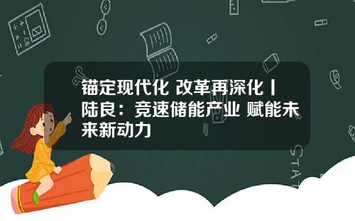 锚定现代化 改革再深化丨陆良：竞速储能产业 赋能未来新动力
