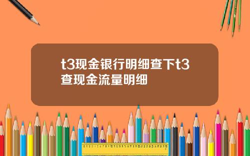t3现金银行明细查下t3查现金流量明细