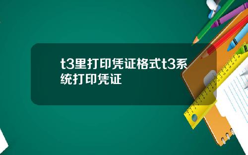 t3里打印凭证格式t3系统打印凭证
