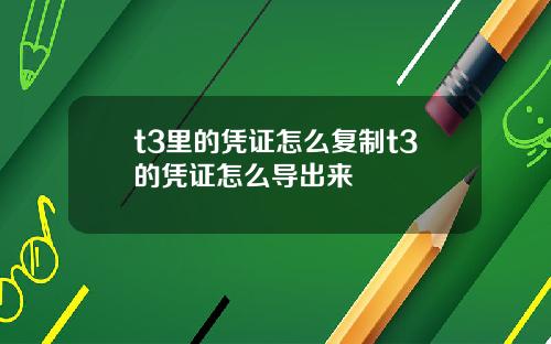 t3里的凭证怎么复制t3的凭证怎么导出来
