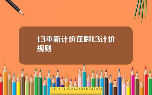 t3重新计价在哪t3计价规则