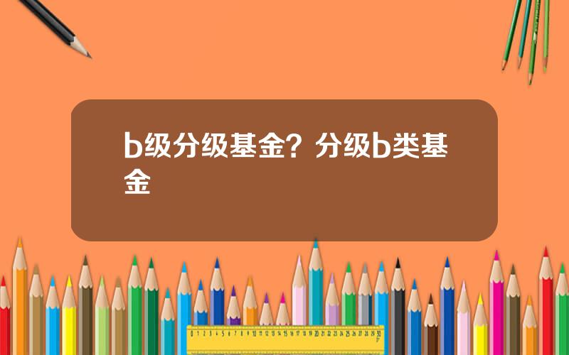 b级分级基金？分级b类基金