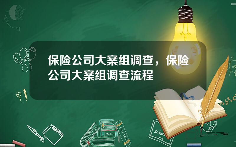 保险公司大案组调查，保险公司大案组调查流程