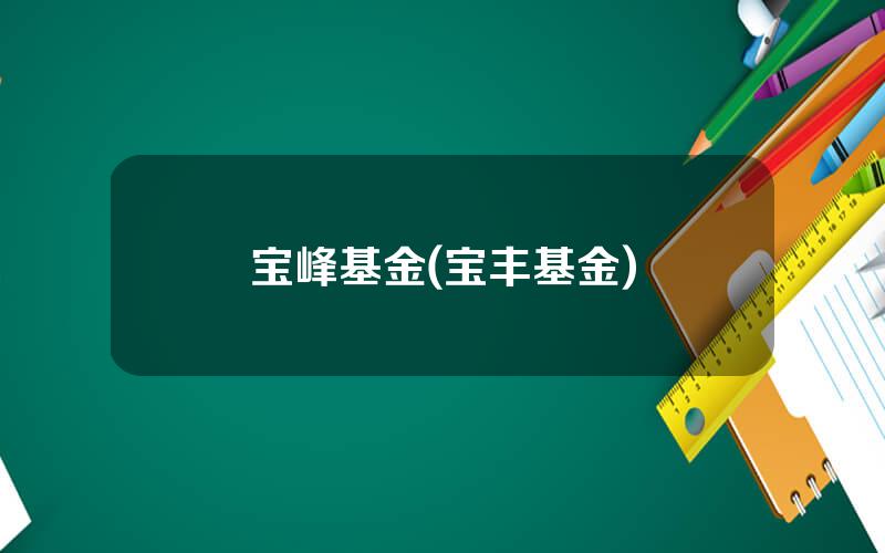 宝峰基金(宝丰基金)