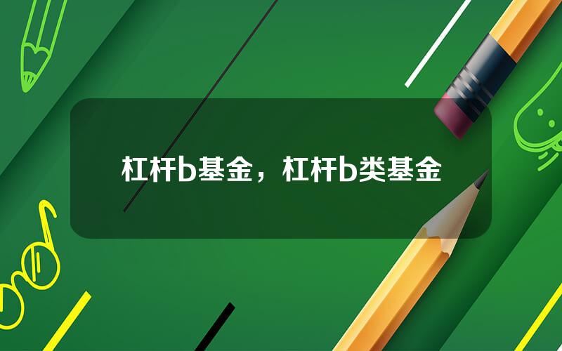 杠杆b基金，杠杆b类基金