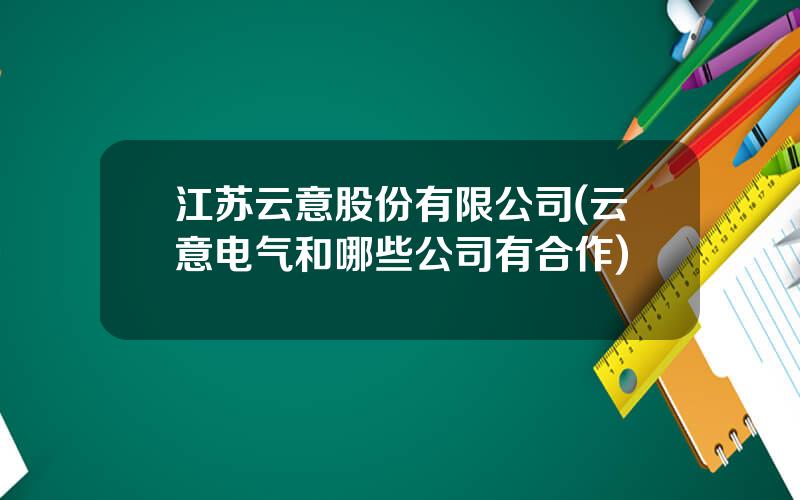 江苏云意股份有限公司(云意电气和哪些公司有合作)