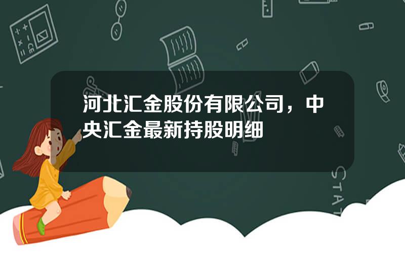 河北汇金股份有限公司，中央汇金最新持股明细