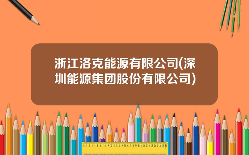 浙江洛克能源有限公司(深圳能源集团股份有限公司)