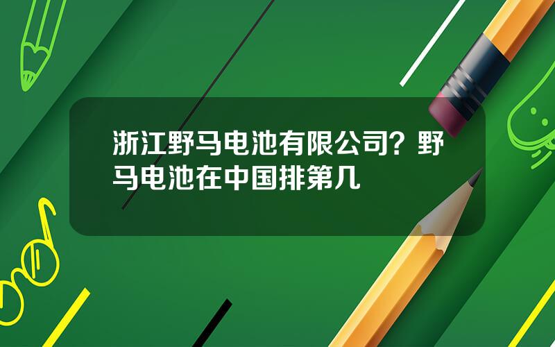 浙江野马电池有限公司？野马电池在中国排第几