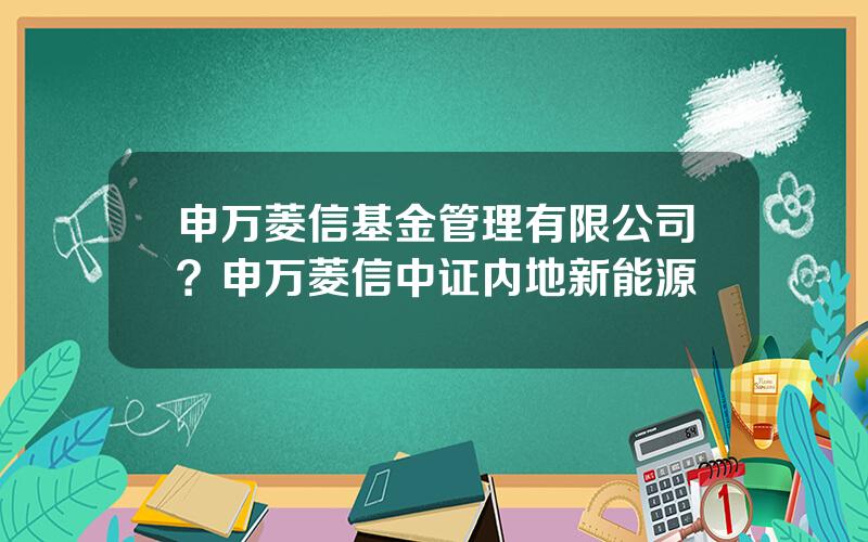 申万菱信基金管理有限公司？申万菱信中证内地新能源